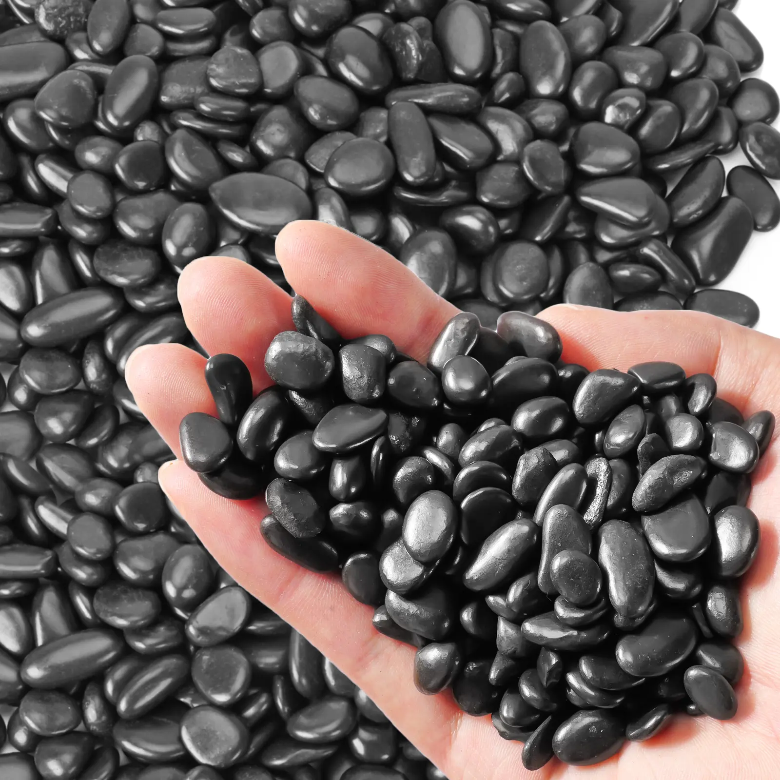 Black Polished River Rocks - Small Gravel Stones for Rock Garden Aesthetic, Fish Tanks, Succulents & Bonsai, Indoor-Outdoor Home Garden Decor, Aquarium Terrarium Vases, Bonsai Plants