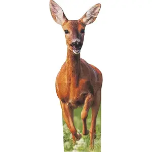 aahs!! Engraving Animal Life Size Cardboard Cutout Stand Up | Standee Picture Poster Photo Print (Deer)