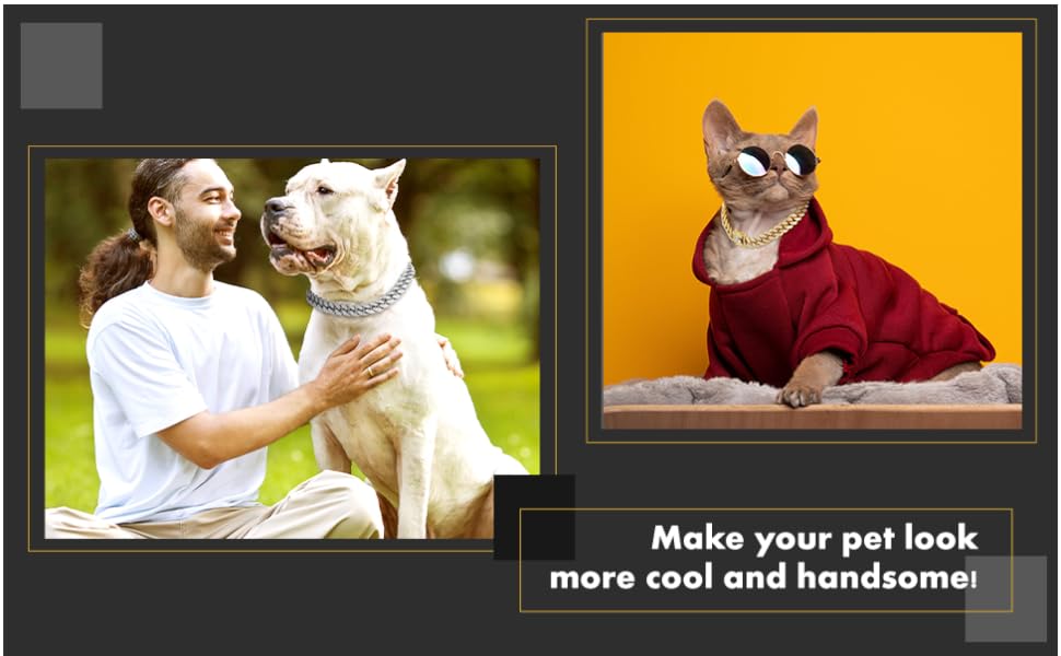 Dog Chain Diamond Collar Walking Metal Chain Necklace with Secure Buckle Pet Cuban Style Collar Jewelry Accessories for Small Medium Large Dog Cats