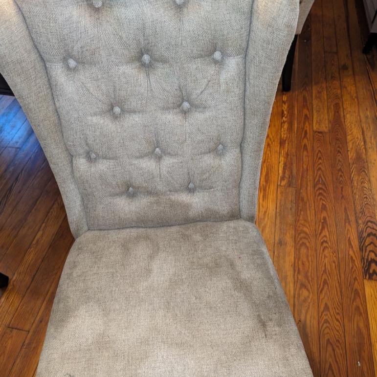 Ray Spray Stain & Spot Remover