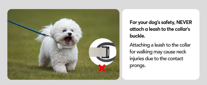 Jugbow Shock Collar for Small Dogs - 4200FT Dog Training Collar with Remote for 5-30lbs Mini Small Dogs, IPX8-Waterproof Rechargeable E-Collar with Beep (1-9), Vibration(1-3), Safe Shock(0-16) DT54