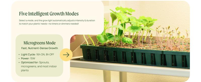 Vego Garden Full Spectrum LED Grow Light for Indoor Plants with 5 Modes for Seed Starting Leafy Herbs Fruits & Microgreens Modern Polycarbonate Greenhouse Home Use