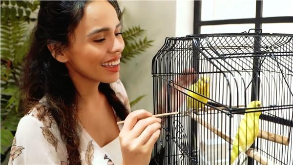 Yaheetech 64’’ H Open Top Metal Bird Cage with Double Doors & Slide-out Tray & Four Feeders & Detachable Rolling Stand