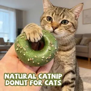 Catnip Donut Cat Toy! Natural Catnip Treats for Indoor Cats, Keep Your Kitty Happy & Busy