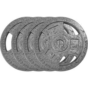 Cast Iron Weight Plates Set 1 in, 5 /10LBS Bumper Plates for Home Gym, Strength Training & Weightlifting (4 x 5/10 LBS Sets)