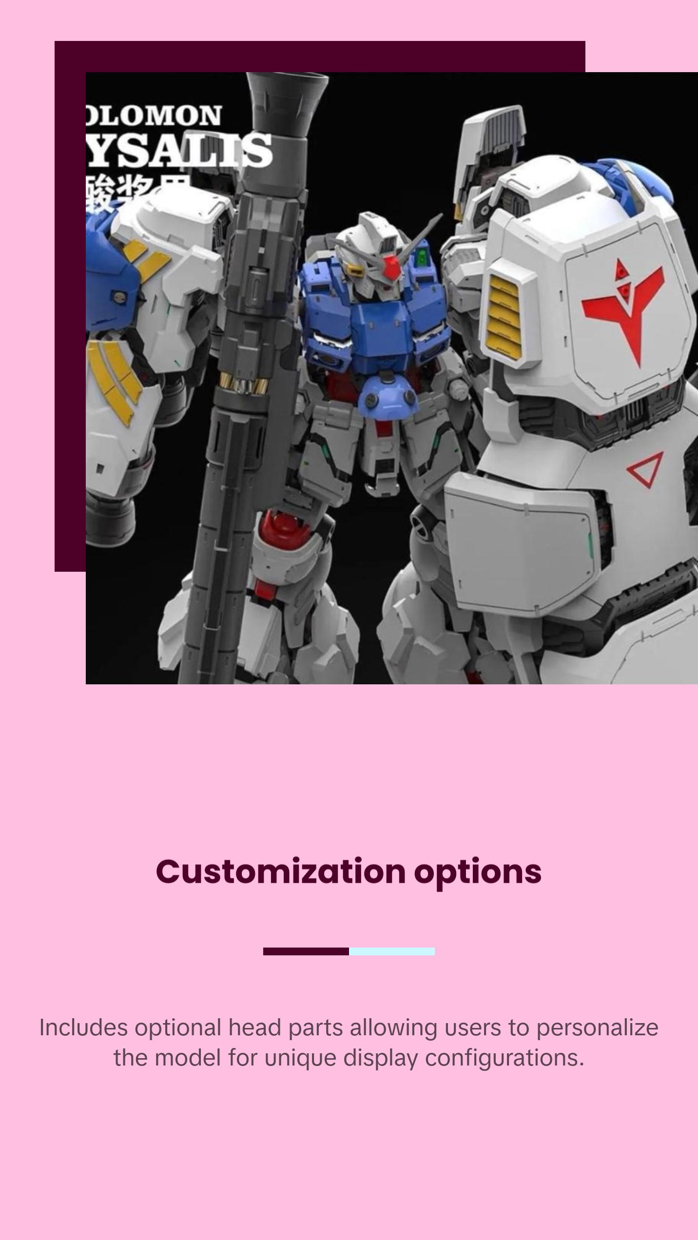 Solomon MG 1/100 Physalis GP02