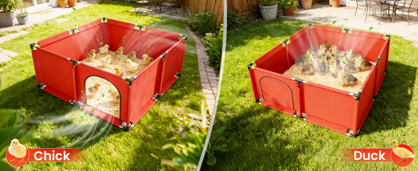 Chicks Brooder Box for Chicken Starter Kit Includes Timing Heat Lamp, Sawdust, Chick Feeder and Waterer Set Poultry Brooder with Heat Lamp for Baby Chicks, Ducks, Quail Birds