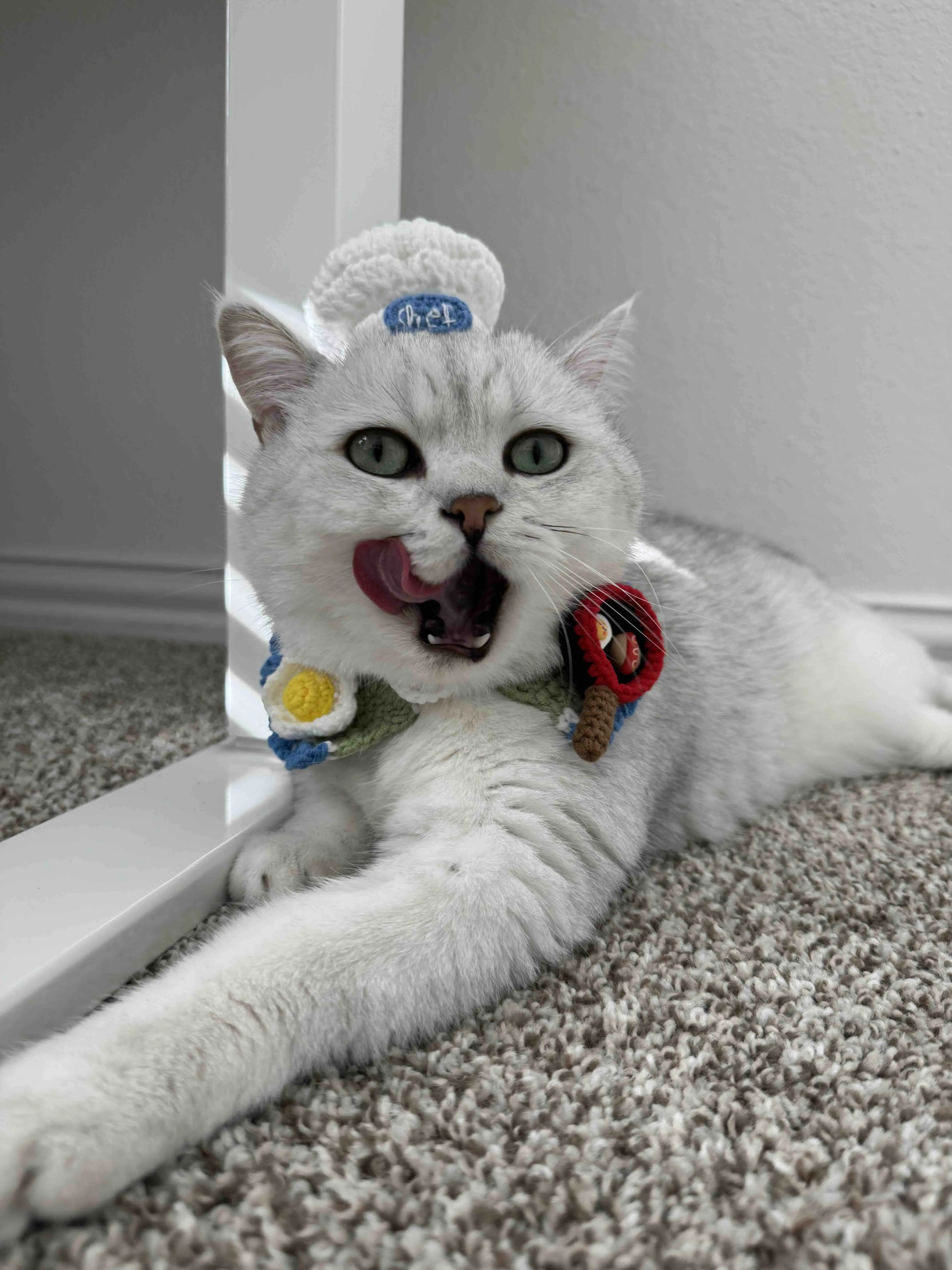 Build-Your-Own Chef Cat Collar - Customizable Crochet Collar with Magnetic Charms - Foodie Pet Accessories - Purr-sonalized Kitten Gift
