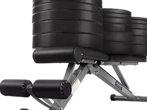 RitFit PWB01 Adjustable Foldable Weight Bench - Home Gym Equipment for Full Body Workout with Versatile Position Back Pad & Seat