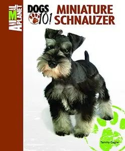 USED-Miniature Schnauzer by Gagne, Tammy (Hardcover)