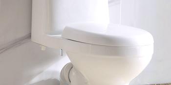 Hibbent 2 PCS Universal Toilet Seat Bolts Kit, Heavy Duty Stainless Steel Toilet Bolts with Extra Long Downlock Nuts Rubber Washers Gaskets, Easy to Install -Bathroom Toilet Repair Screw Hibbent 2 PCS Universal Toilet Seat Bolts Kit, Heavy Duty Stainless Steel Toilet Bolts with Extra Long Downlock Nuts Rubber Washers Gaskets, Easy to Install -Bathroom Toilet Repair Screw