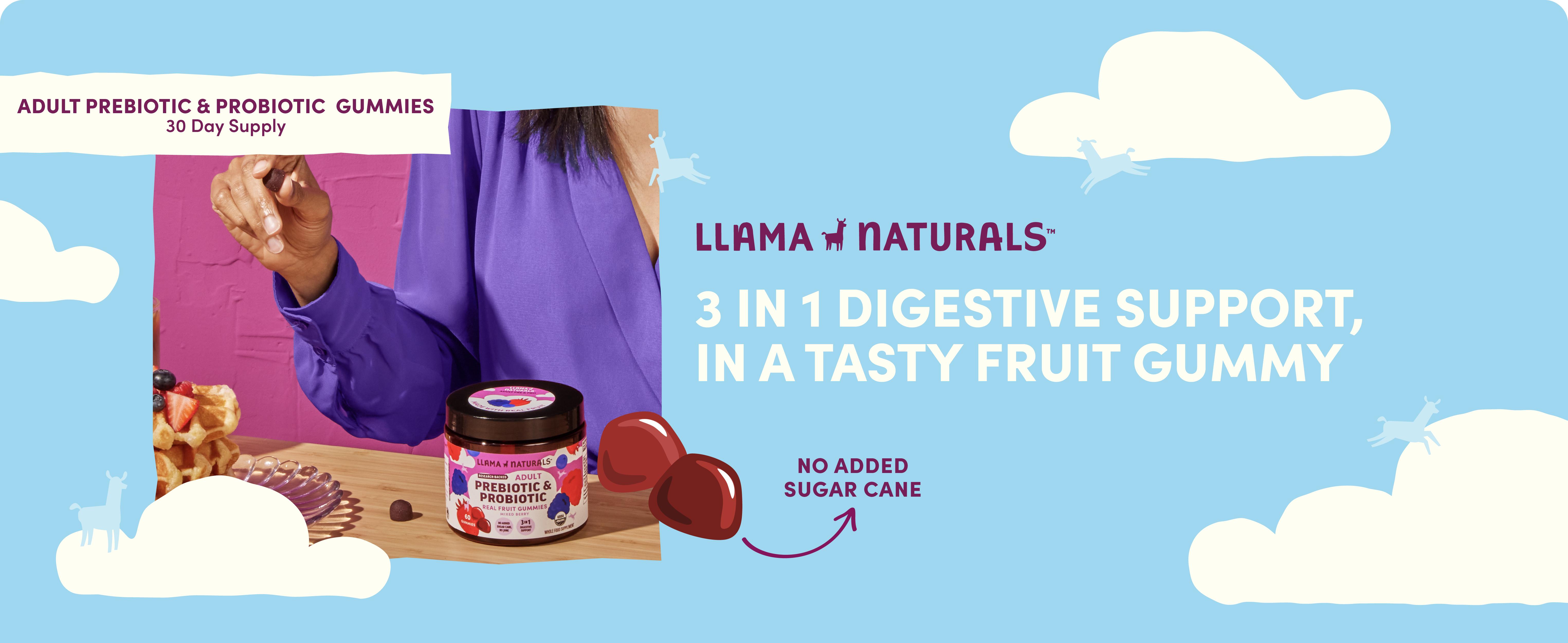 Llama Naturals Probiotics for Women and Men with Prebiotic Fiber, Vegan, Organic, Probiotic Gummies for Gut Health Support, Adults Real Fruit Gummy Vitamins, No Added Sugar Cane, Mixed Berry, 60 Ct