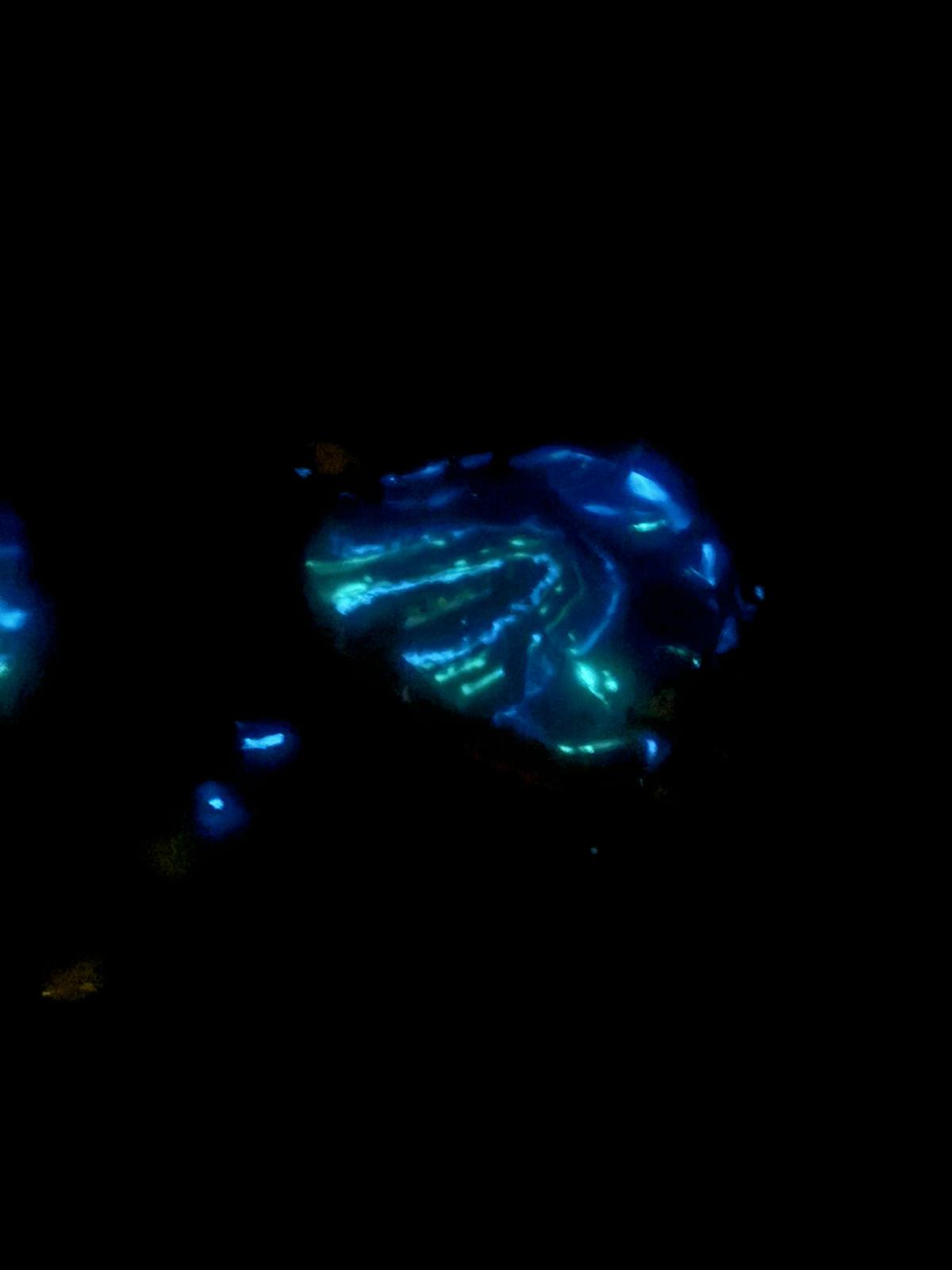 Poseidon’s Wet Dreams Glow in the dark 3D Resin Table