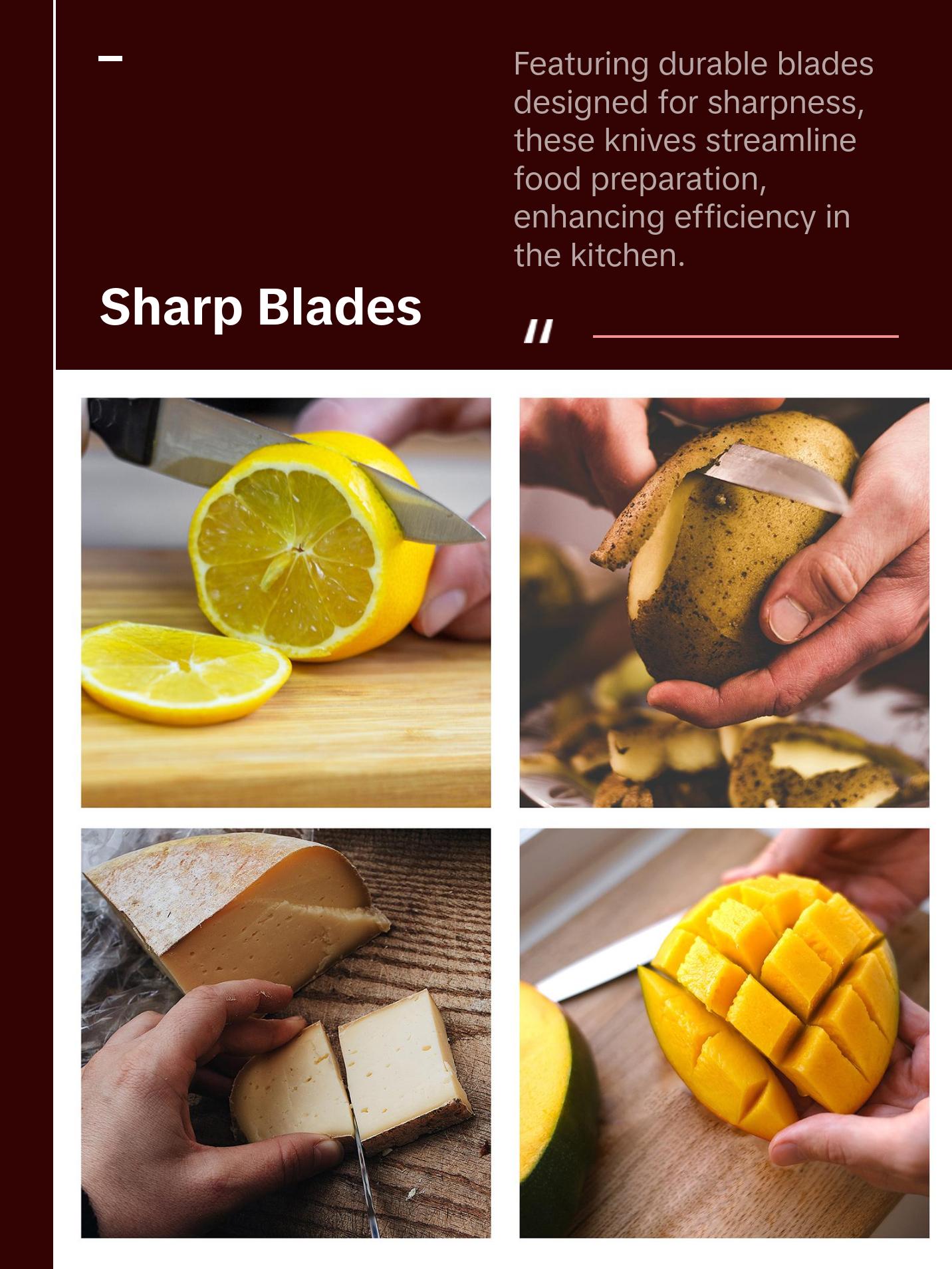 SpitJack 3.5 Inch Kitchen Paring Knife (2-pack)