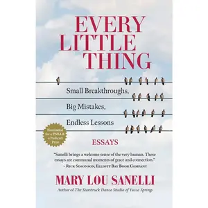 USED-Every Little Thing: Small Breakthroughs, Big Mistakes, Endless Lessons by Sanelli, Mary Lou (Paperback)