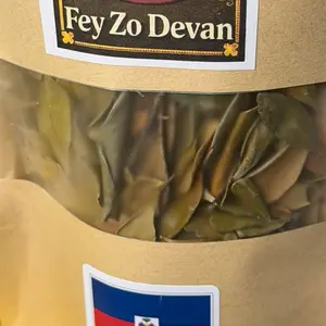 Fey Zo Devan- Papa Mystique Vodou Ayisen
