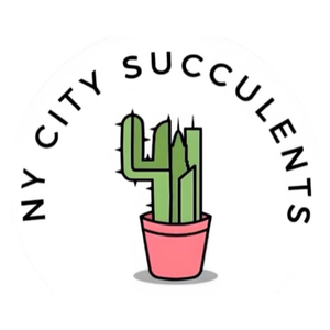 NY City Succulents