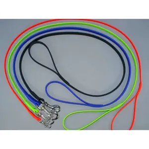 BioThane Snap Leash