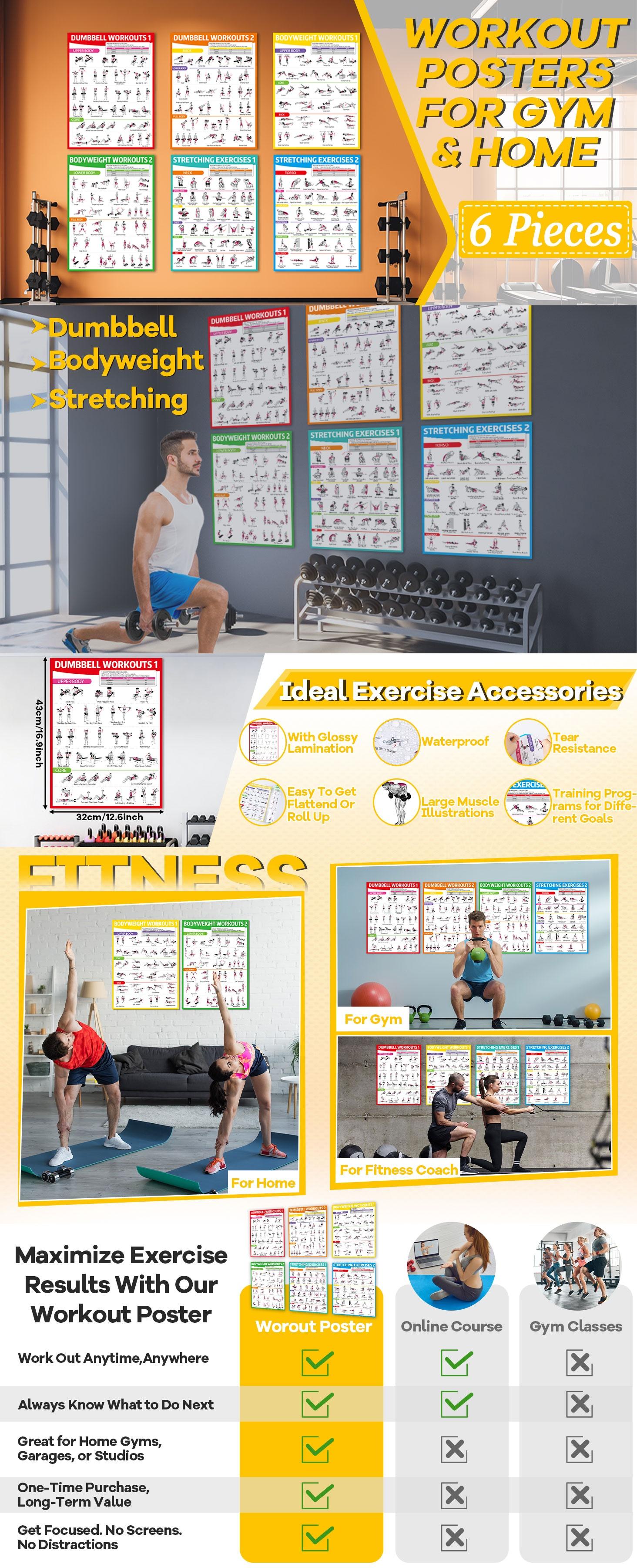 GISGFIM 6PCS Workout Posters for Home Gym Dumbbell Bodyweight Stretching Workout Exercise Chart