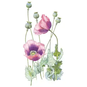 Hungarian Blue Bread Seed Poppy Seeds