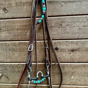 Teal & Checkered One Ear Headstall and Silicone Curb Chain