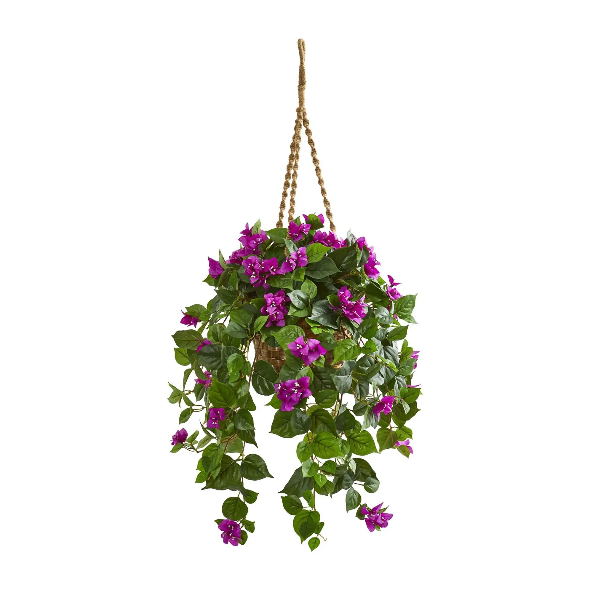Bougainvillea Plant in Hanging Basket by NearlyNatural