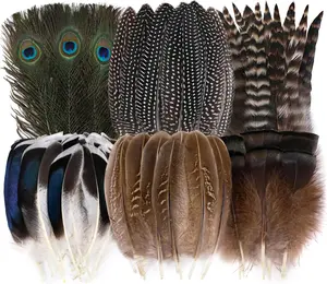 Holmgren 48Pcs Natural Feathers Bulk - 6 Styles Assorted Peacock, Pheasant, Turkey Feathers for Craft DIY Jewelry Hat Wedding Home Party Decoration