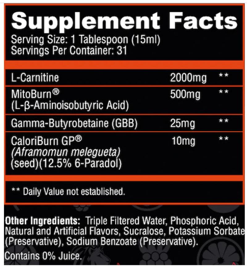 Alpha Lion Burn 2.0 Non-Stimulant L-Carnitine 31 Servings