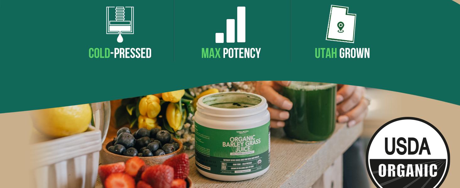 Triquetra Health Organic Barley Grass Juice Powder - Cold-Pressed, Raw Form Health & Nutrition Dietary Supplement