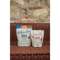 Pumpkin Pie & 3-Flavor