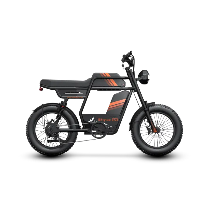 Riding'times GT33 All-Terrain Cafe Racer Cargo Electric Bike