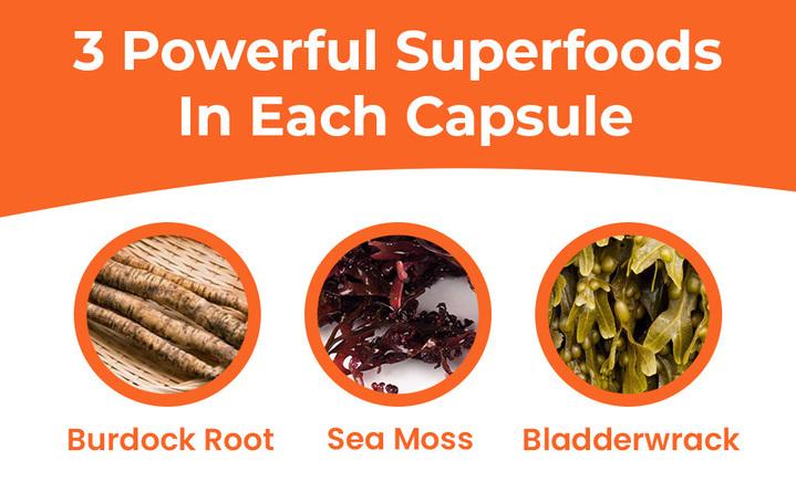 Infinite Age Sea Moss Advanced for Hair and Skin