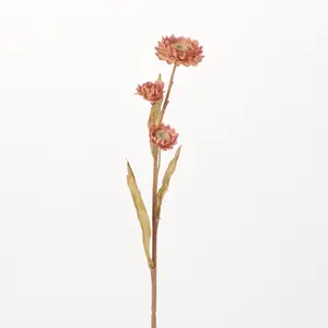 Blush Pink Silk Marigold Calendula Blooms Single Stem Floral Spray - 24"