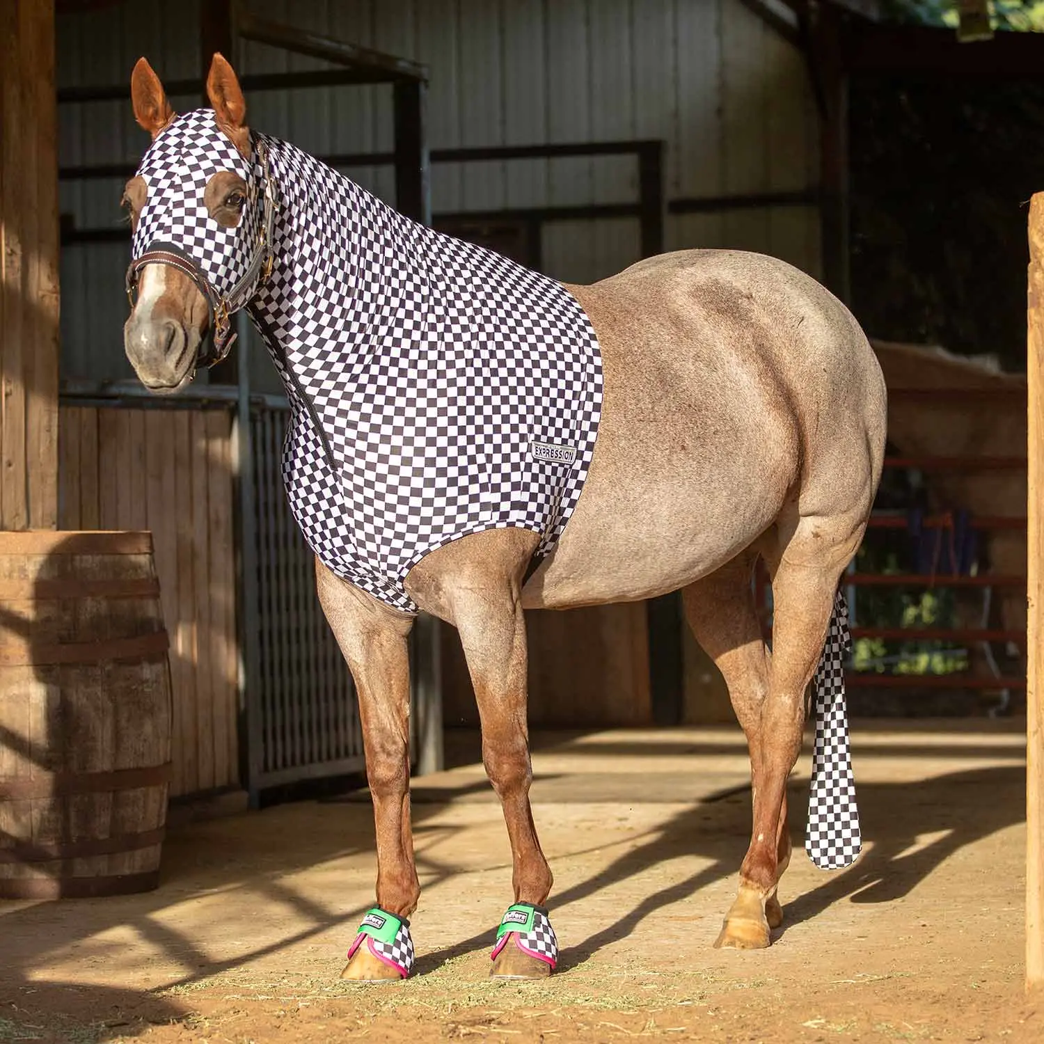 Jeffers Expression Lycra Hood for Horses with Full-Length Zipper Adjustable Girth Strap Equestrian Supplies