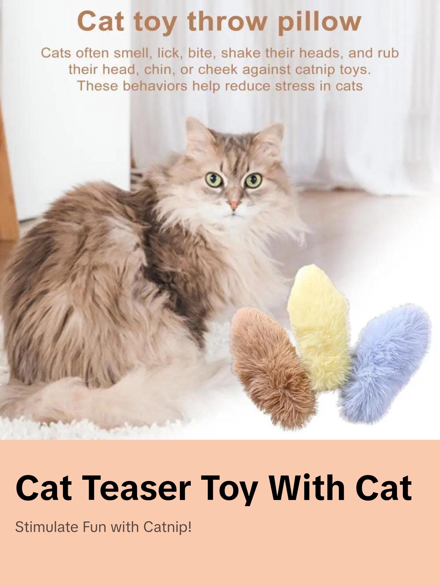 Cat Teaser Toy for Playtime Relief Mental Stimulation with Catnip Tease Stick.