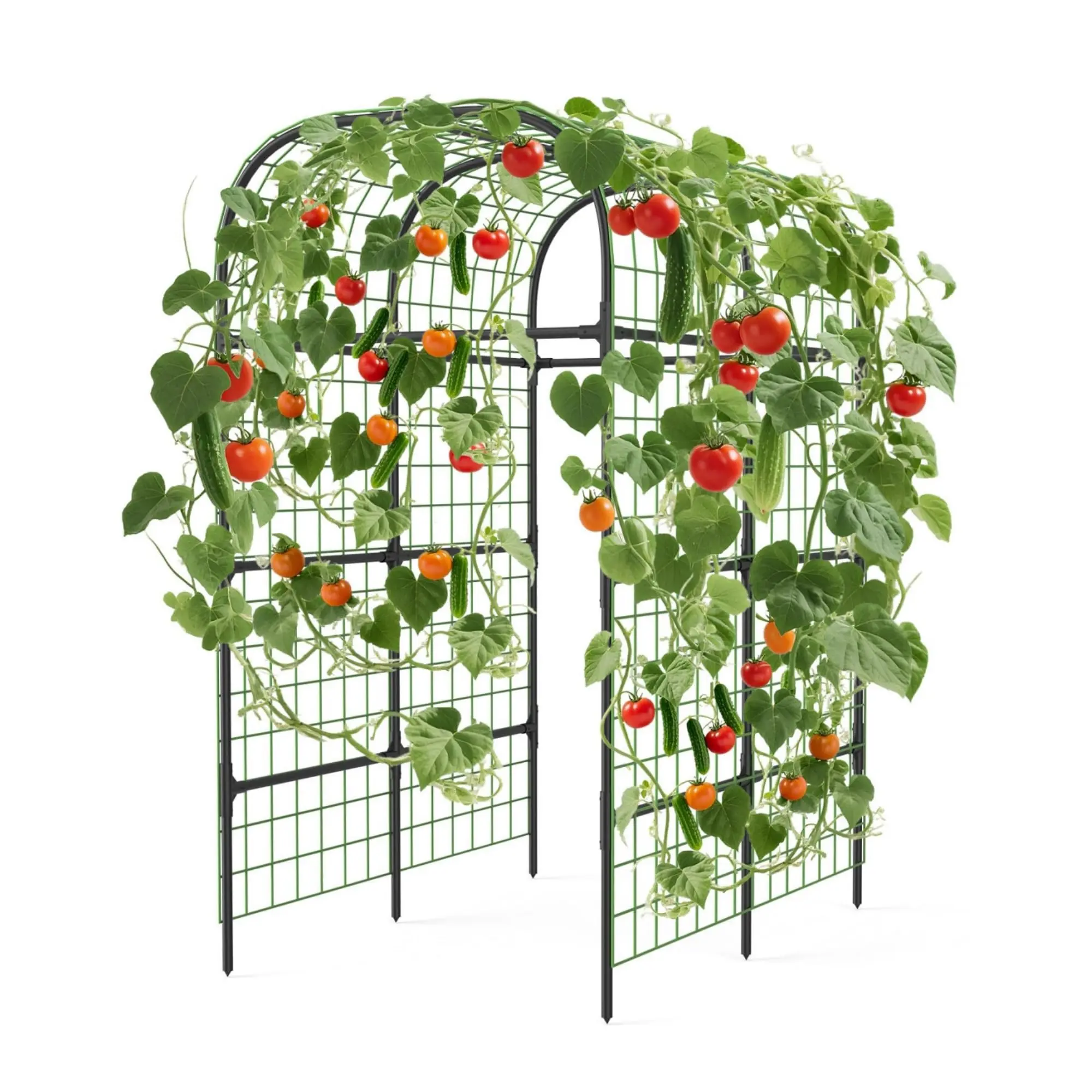 Garvee Metal Garden Arch Trellis, 7.3Ft Black for Raised Beds, Plant Support for Cucumbers & Climbing Vegetables