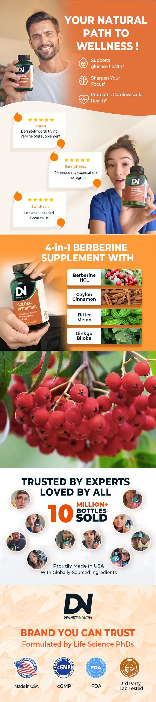 DN 3 Packs 4-in-1 Golden Berberine Supplement 1500mg, Glucose Support, with Ceylon Cinnamon Bitter Melon Ginkgo, Support Gut Health, Metabolism, Wellness, 60 Capsules, Divinity Nutra