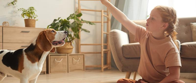 Large Dog Beds Washable Orthopedic self warming bed Sofa Bed with Waterproof Lining Non Slip Bottom for Pet Sleeping Comfortable and Durable XL/42x30x6.5inch