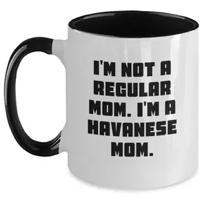 Funny Havanese Dog Gifts for Friends and Family - Unique Christmas Unique Two Tone Coffee Mugs for Havanese Mom