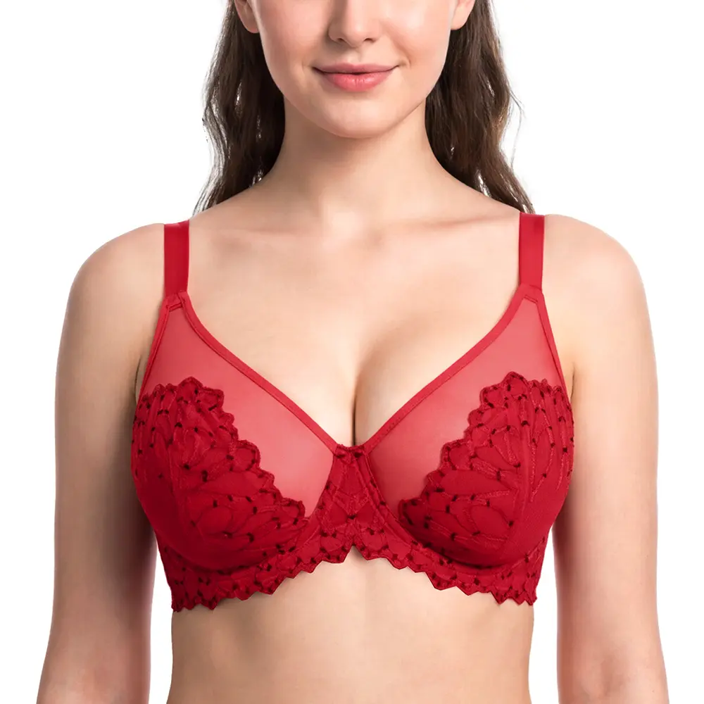 HSIA Winter Sonata Curvy Unlined Plus Size Sexy Pretty Embroidered Soft Lace Bra Underwire Support Bra Full Coverage Upgraded Breathable Skin-Friendly Sheer Mesh Minimizer Bra All-Day Comfort for Large Bust