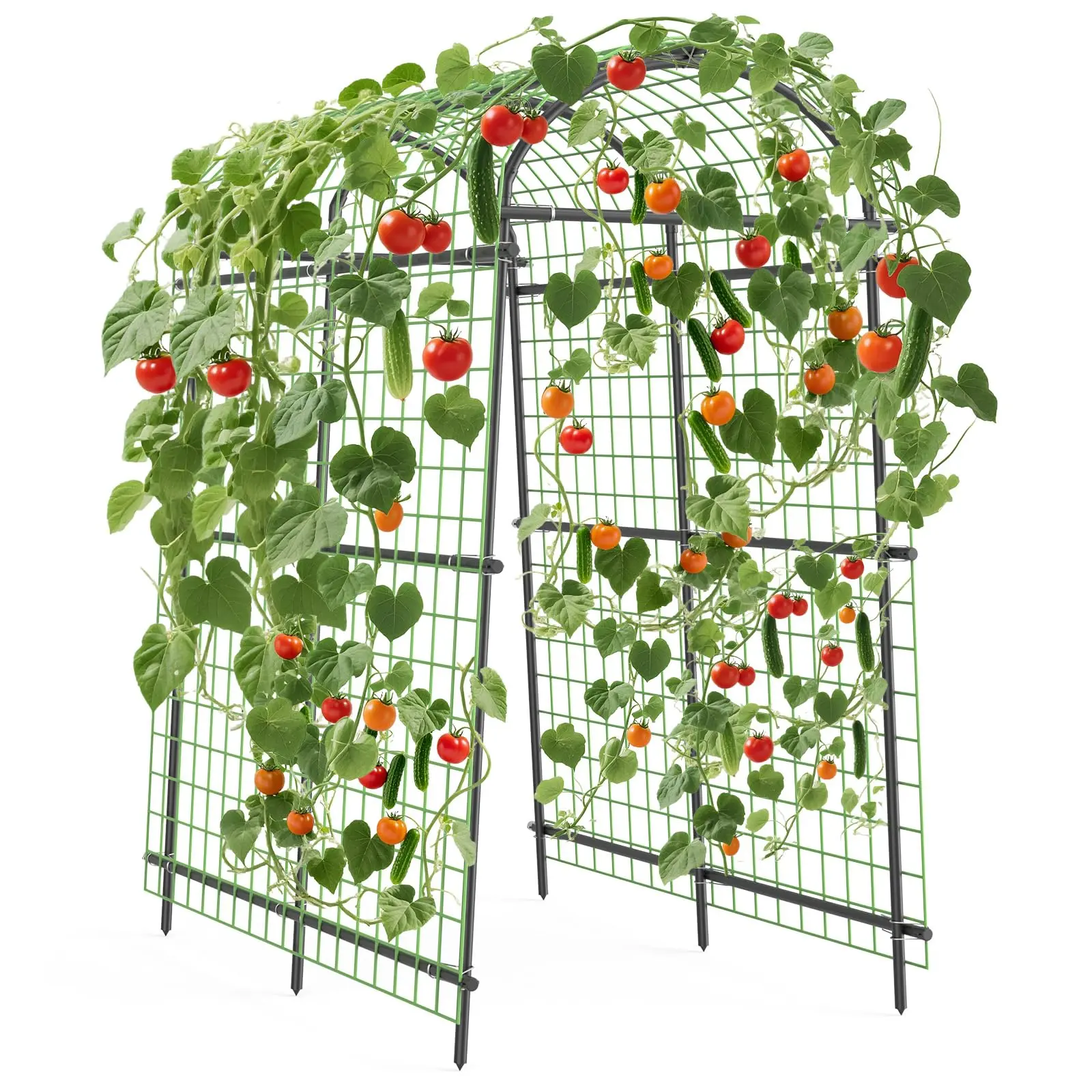 Garvee Garden Arch Trellis, 7.5FT Metal Arbor with Netting for Climbing Plants, Vegetables, Flowers, Adjustable Width, Weather Resistant, Easy Assembly, Outdoor Pergola for Garden