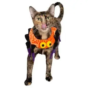 Pet Krewe Spider Costume