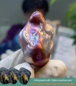 【Adee】Fantasy King 1 Big  Long Tail Baroque King Pearl (2 King pearls with 1 Edison pearl per clam)｜Live Opening Non-Refundable NO RETURNS OR REFUNDS AFTER