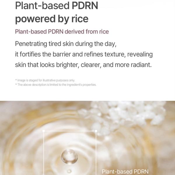 [mixsoon] Black Rice Peeling Ampoule 100ml – Gentle Exfoliating Serum with Black Rice Extract for Smooth, Clear & Radiant Glass Skin