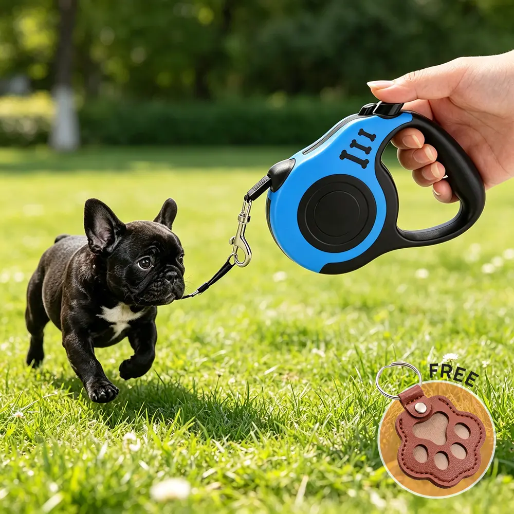 Automatic Retractable Dog Leash, Nylon-Metal 5m Heavy-Duty Anti-Tangle Blue Lead with Ergonomic Anti-Slip Handle, 1-Button Locking Brake for Small Pups & Medium Dogs (Beach, Park Use for Safe Walks)