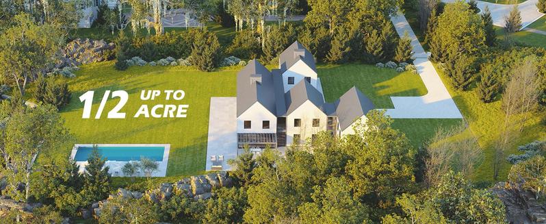 PowerSmart Self Propelled Gas Lawn Mower, 21-Inch with 170cc 4-Cycle OHV Engine 2-in-1 Rear-Wheel Drive Lawnmower with Bagging(V8721S)