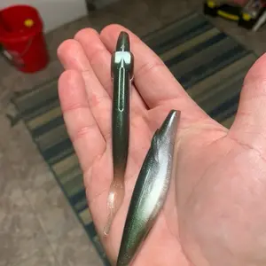 5in Kash Money Minnow 5 in a bag (Arkansas shiner)