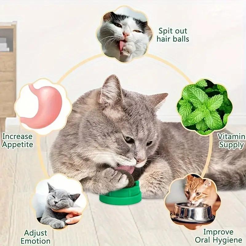 Catnip Toys Balls 4 Pcs, Extra Cat Energy Ball, Edible Kitten Silvervine Toys, Healthy Kitty Teeth Cleaning Dental Chew Toys, Cat Wall Treats Cat Stuf Catnip Toys Balls 4 Pcs, Extra Cat Energy Ball, Edible Kitten Silvervine Toys, Healthy Kitty Teeth Cleaning Dental Chew Toys, Cat Wall Treats Cat Stuf