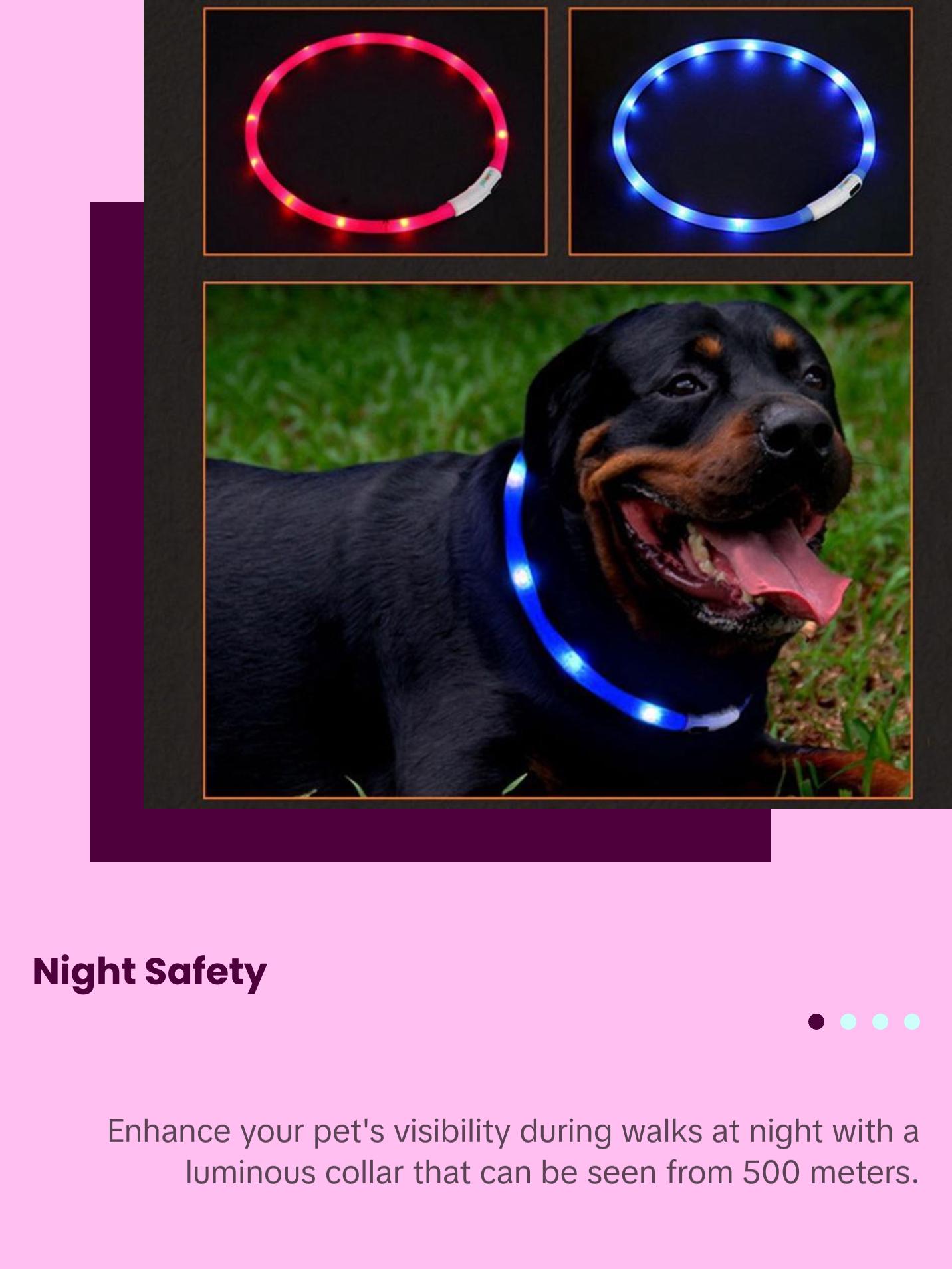 LED Glowing Dog Collar USB Charging Pet Dog Collar Night Luminous Dog Collars Rechargeable Night Safety Flashing Necklace Dog
