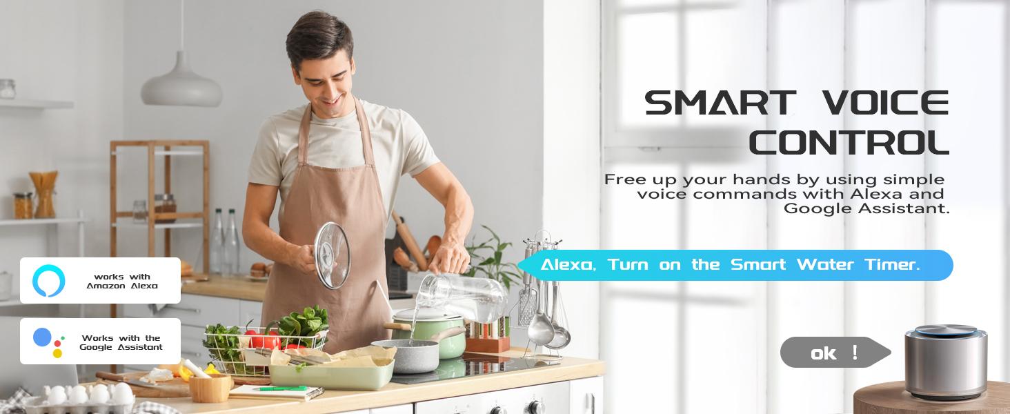 RainPoint WiFi Water Timer V2 2025 Release Brass Inlet Smart Hose Faucet Timer Automatic Irrigation System Controller with APP Control via 2.4Ghz WiFi and Bluetooth